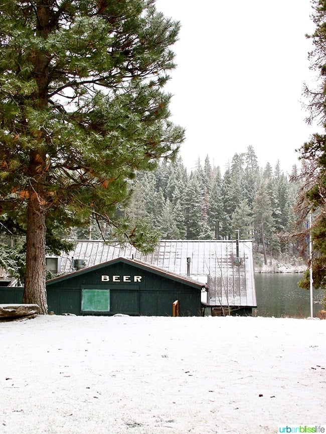 beer sign on shed