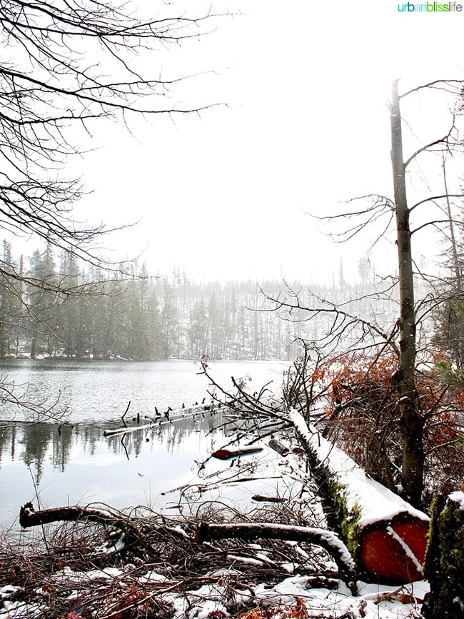 Dark Lake near Suttle Lodge in Sisters, Oregon