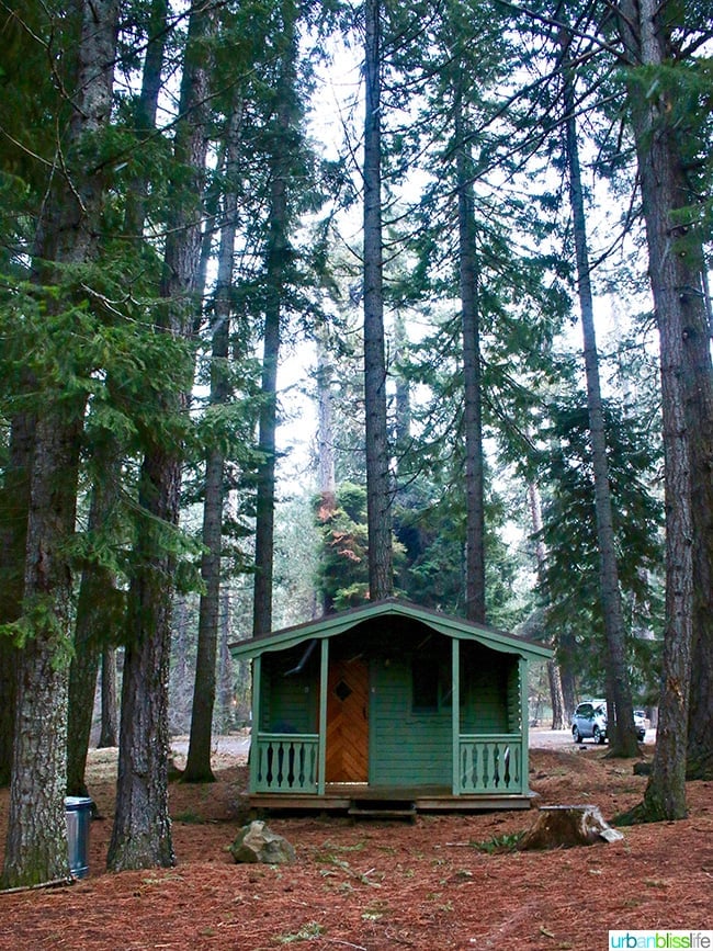 green cabins at Suttle Lodge in Sisters, Oregon