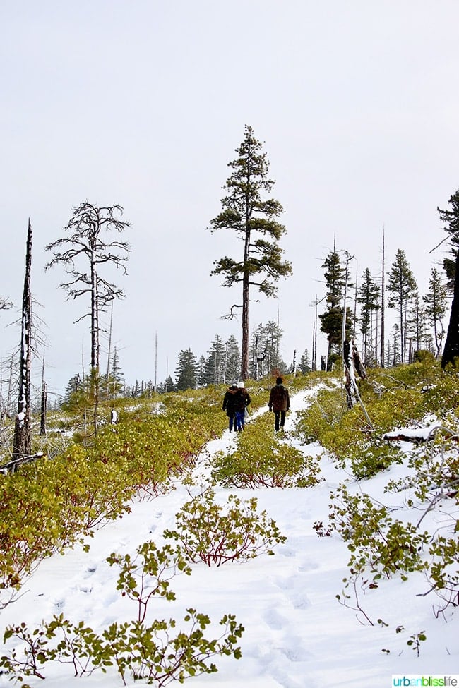 hiking above Suttle Lodge in Sisters, Oregon