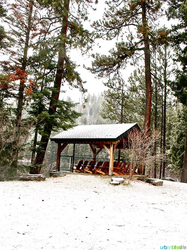 shed in forest