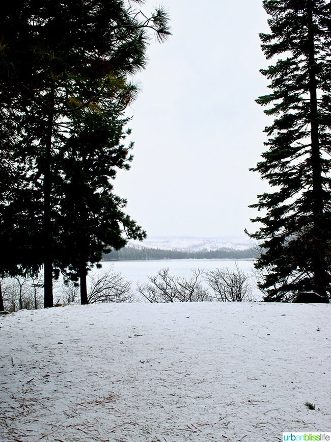 Oregon wilderness