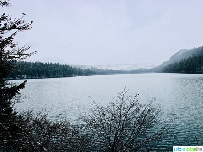 Suttle Lake - Suttle Lodge in Sisters, Oregon