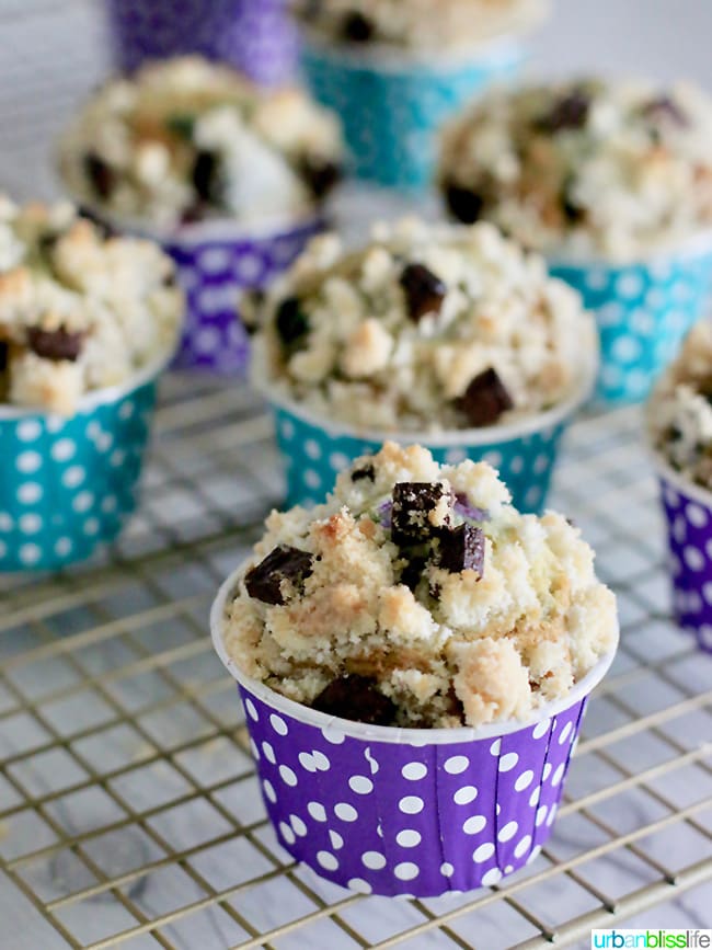 Double Berry Chocolate Chip Muffins recipe on UrbanBlissLife.com