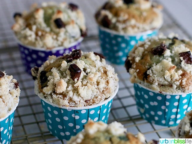 Double Berry Chocolate Chip Muffins recipe on UrbanBlissLife.com