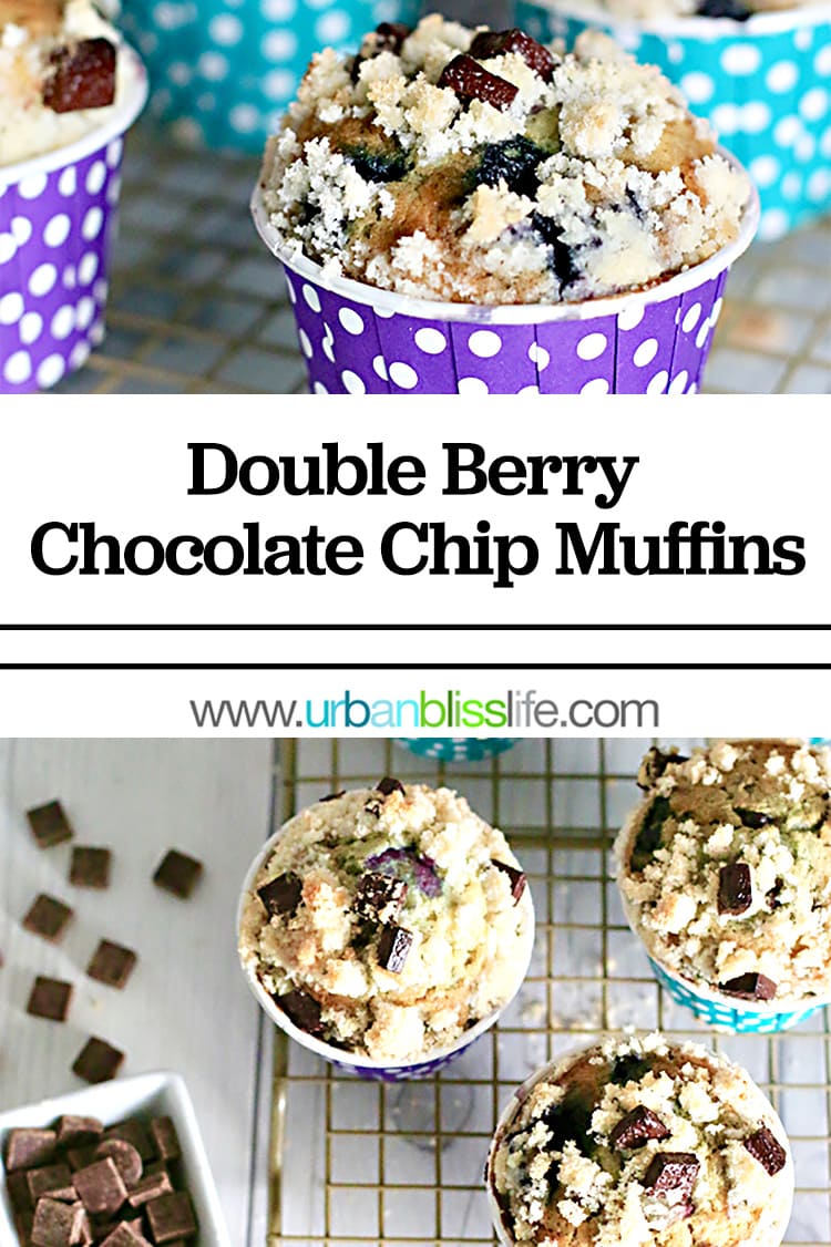 Double Berry Chocolate Chip Muffins on urbanblisslife.com