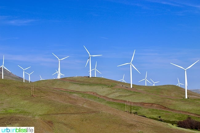 Pacific Northwest Road Trip - Goldendale, Washington wind farm