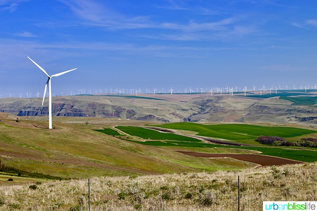 Goldendale, Washington wind farm