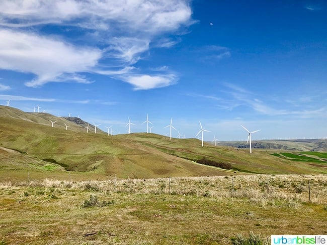 Goldendale, Washington wind farm