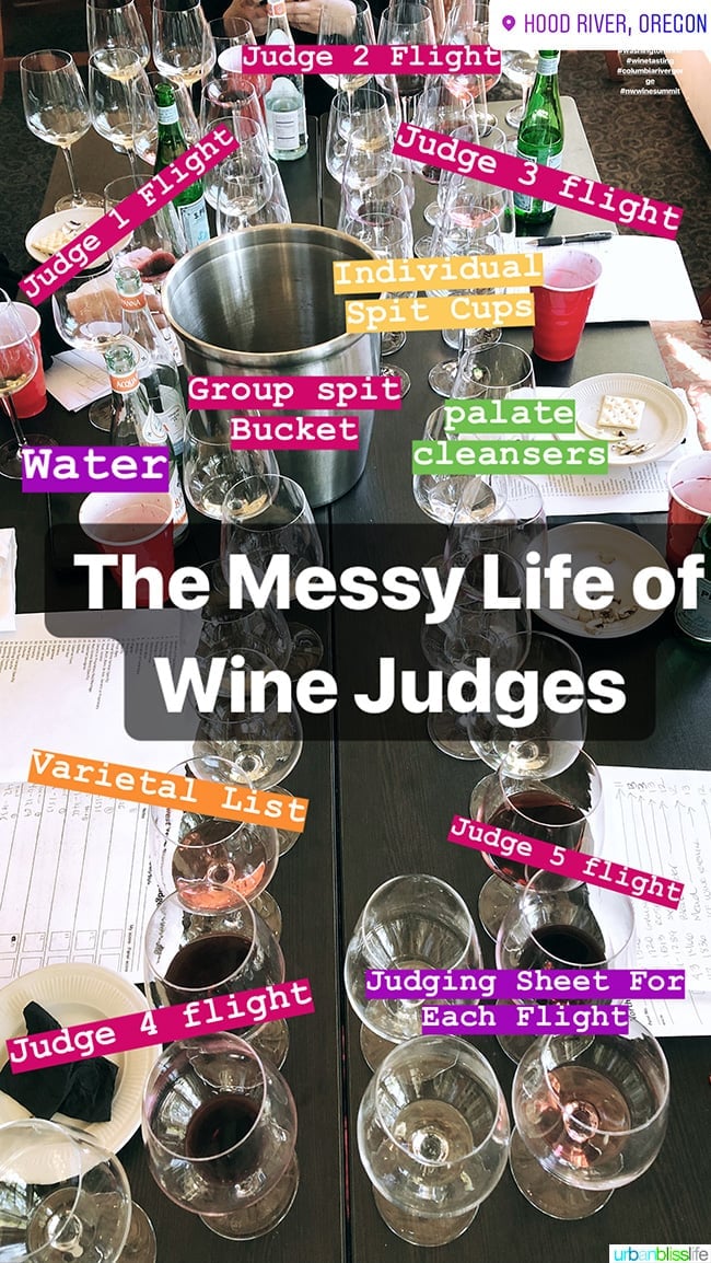 wine competition judging