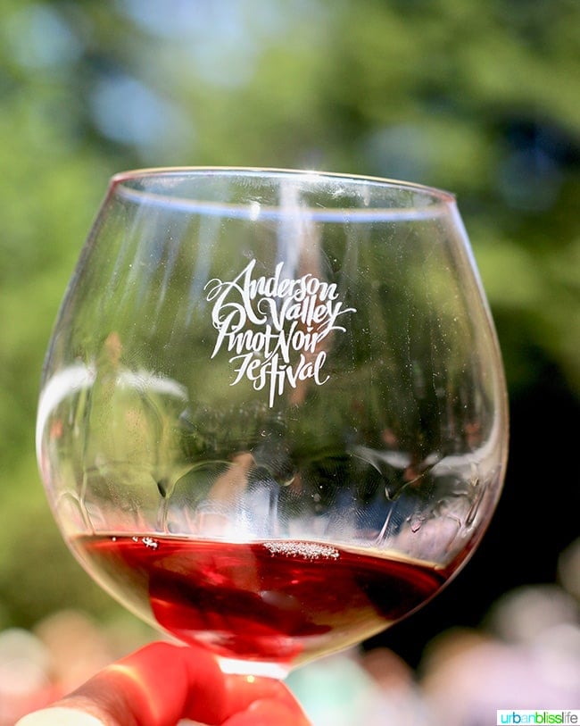 Anderson Valley WIne Festival glass