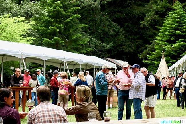 alexander valley pinot noir festival