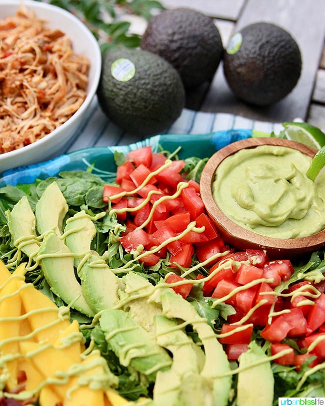 Creamy Avocado Lime Dressing & Dip