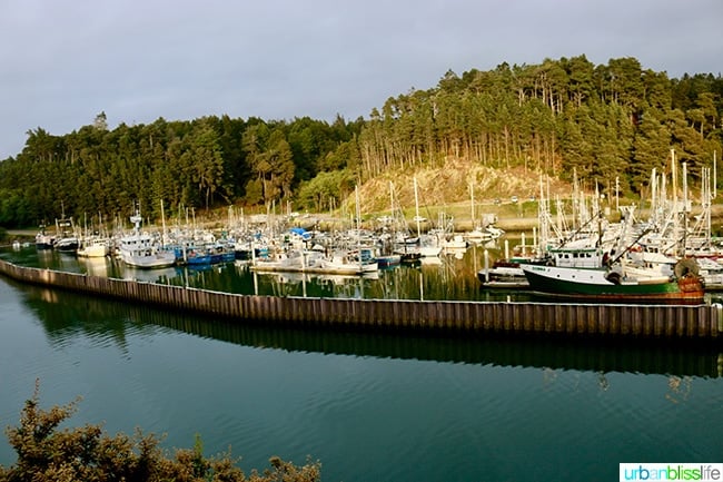 Fort Bragg Harbor