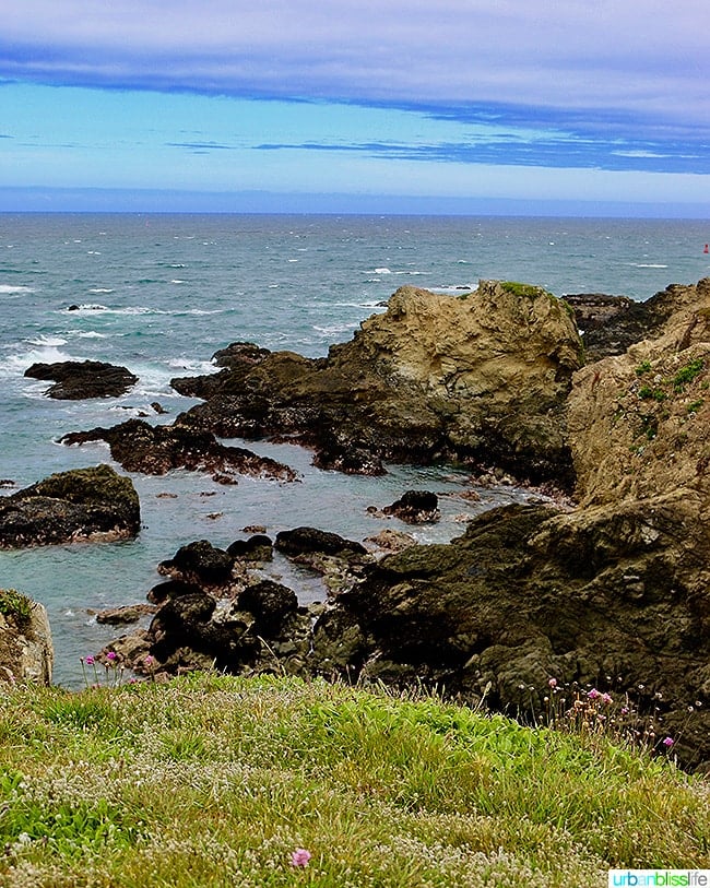 Pomo Bluffs in Fort Bragg California