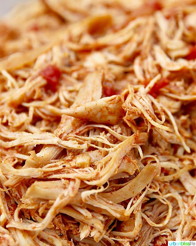 Shredded Chicken 