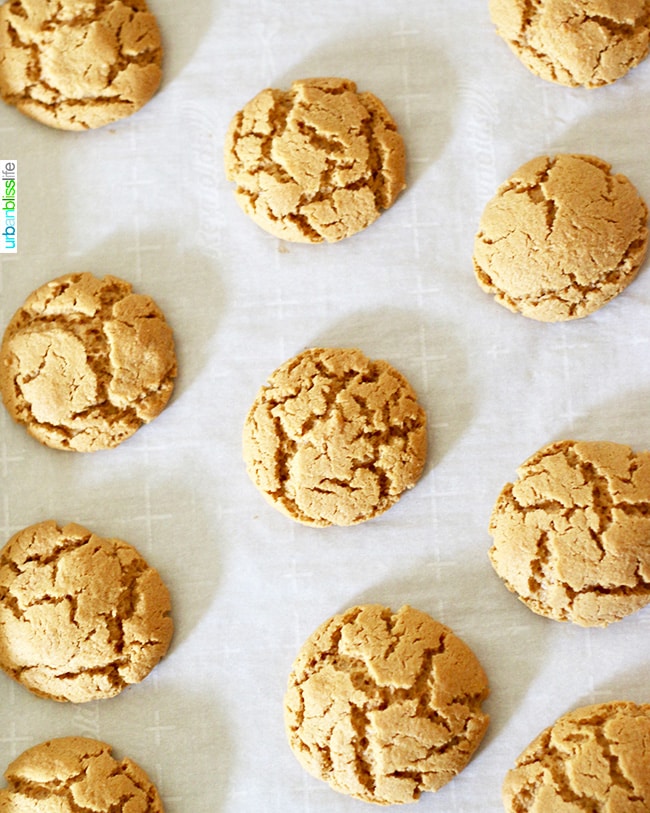 Chewy Peanut Butter Cookies on wax paper
