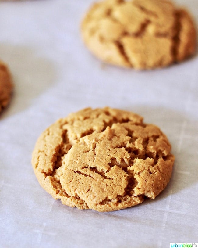 Chewy Peanut Butter Cookies close up