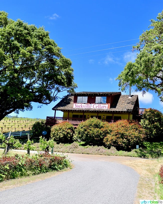 alexander valley wineries: yorkville cellars