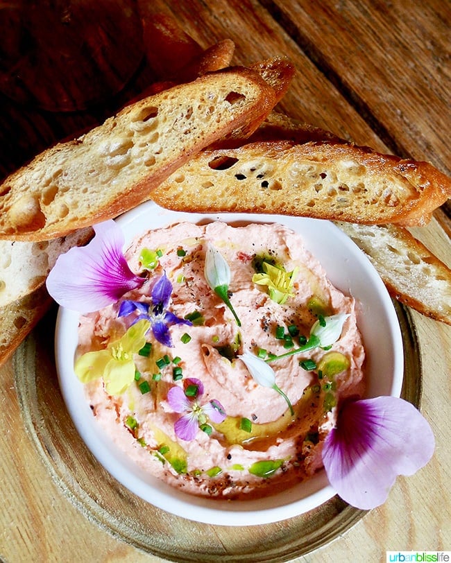 Best restaurants in Mendocino County: delicious salmon mousse and wine at The Bewildered Pig restaurant