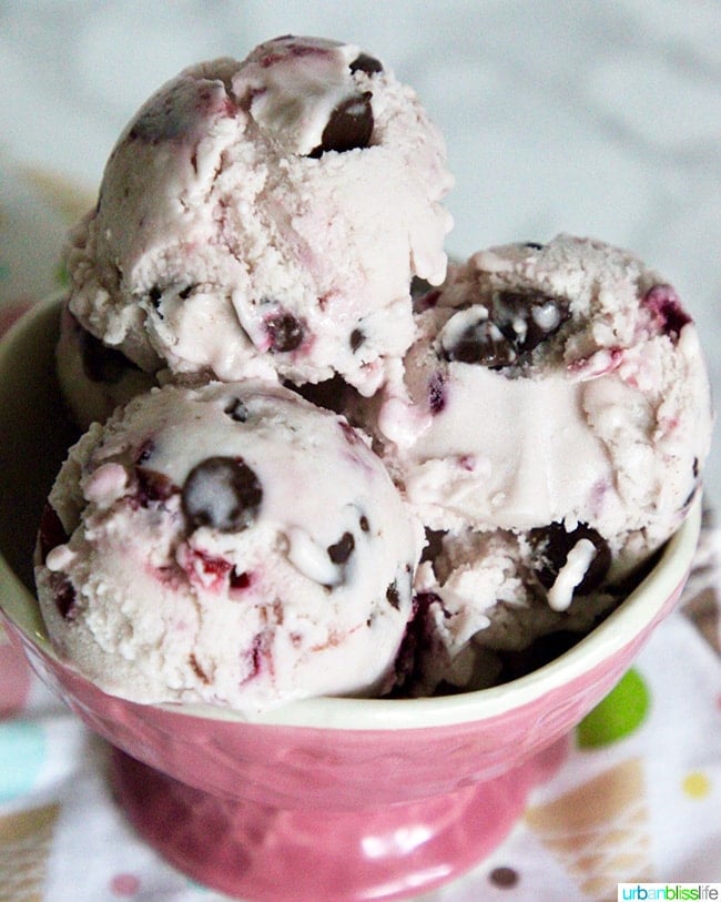 Cherry Chocolate Chip Vegan Ice Cream in bowl