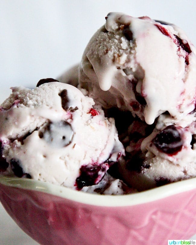 Cherry Chocolate Chip Vegan Ice Cream 