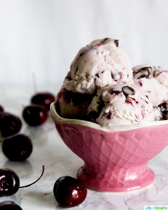 Cherry Chocolate Chip Vegan Ice Cream 