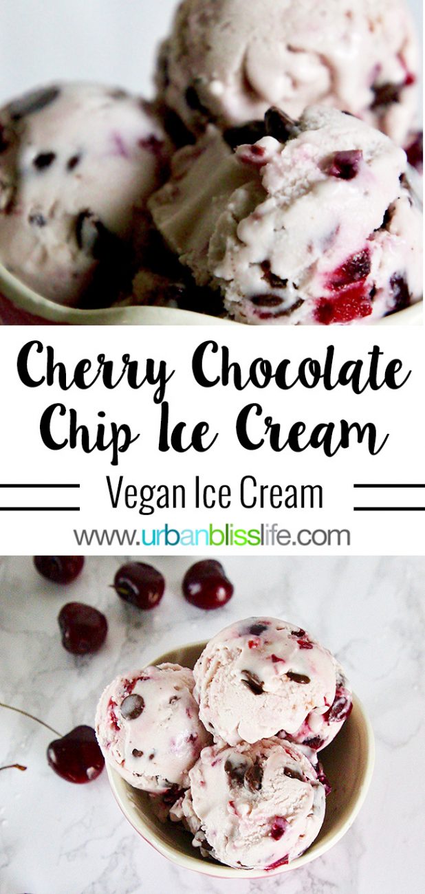 Cherry Chocolate Chip Vegan Ice Cream