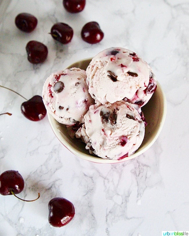 Cherry Chocolate Chip Vegan Ice Cream 