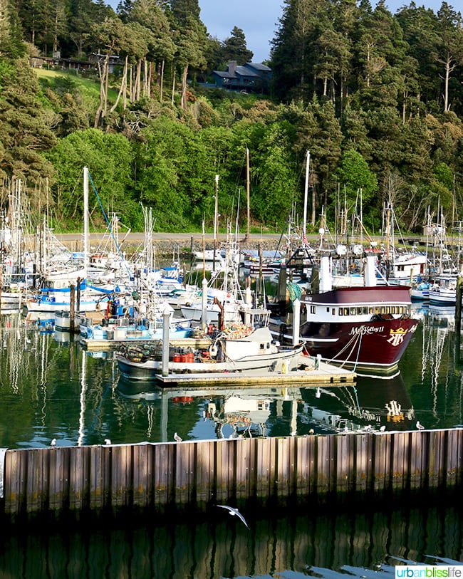 Noyo Harbor, Fort Bragg, California