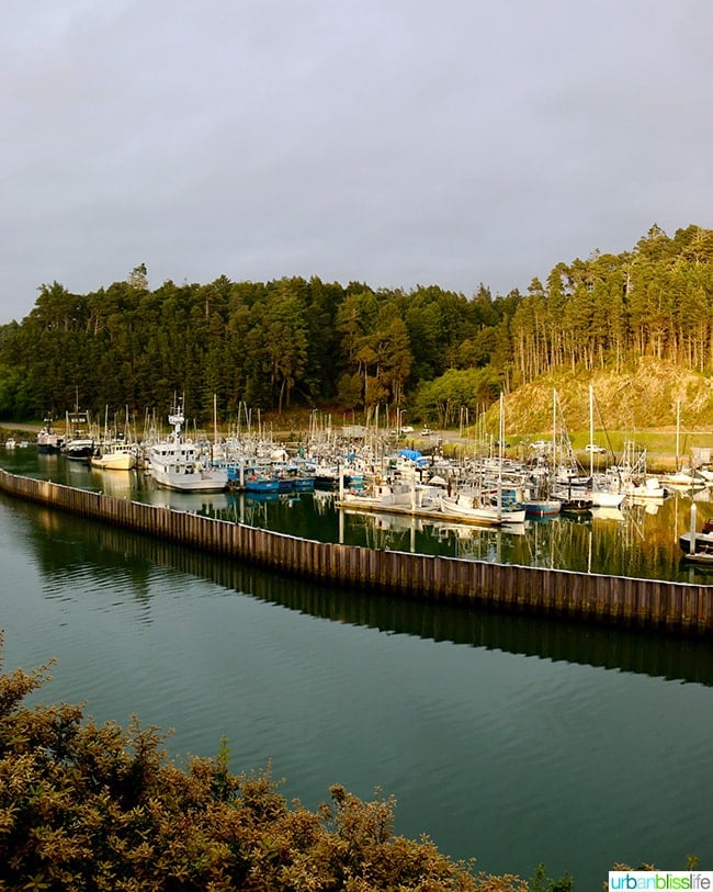 Noyo Harbor, Fort Bragg, California