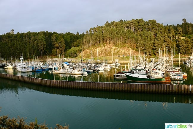 Noyo Harbor, Fort Bragg, California