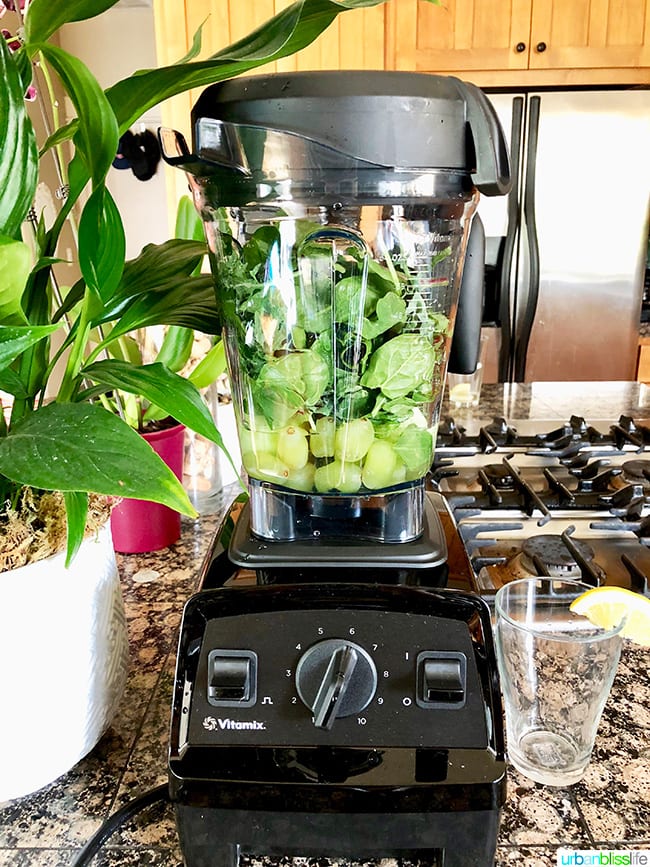 Vitamix green clearance smoothie