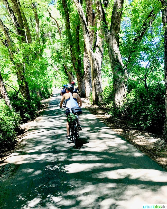 bike tour in Albuquerque, New Mexico