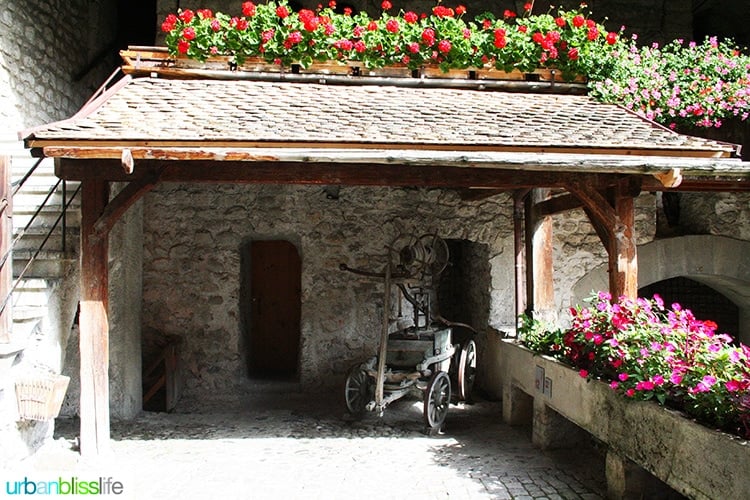 flowers in Chateau de Chillon