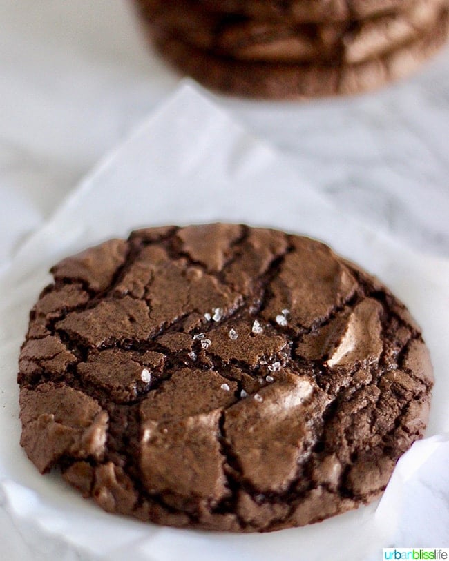 chewy chocolate fudge brownie cookies