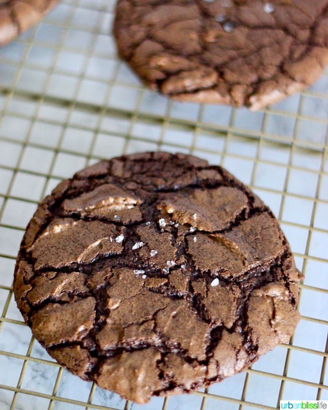 Chewy Chocolate Fudge Cookies 