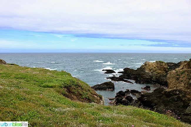 Pomo Bluffs Fort Bragg, California