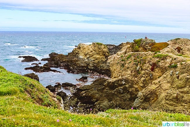 Pomo Bluffs Fort Bragg, California