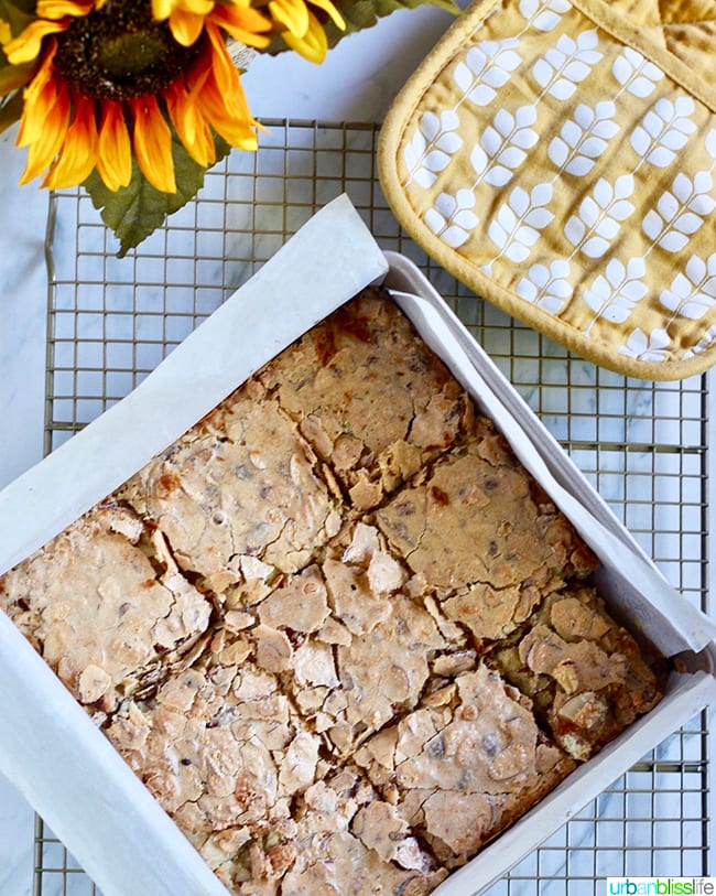 Swedish Visiting Cake Bars sliced