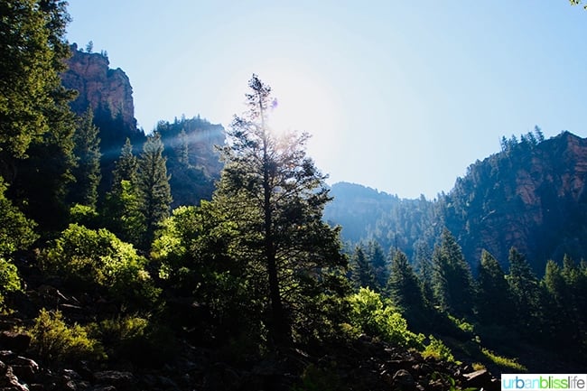 Colorado hiking forest mountains