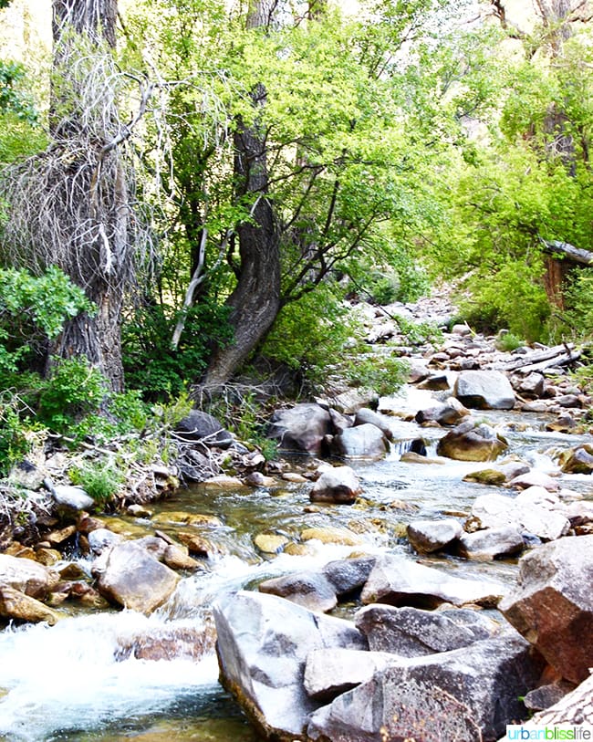 hiking Colorado road trip with stream