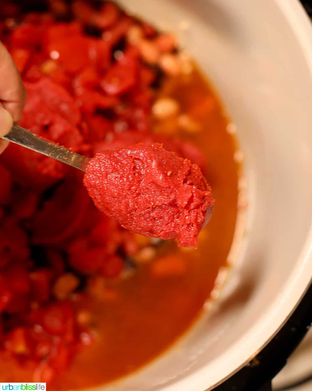 adding tomato paste to ninja foodi chili