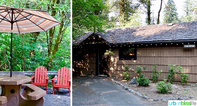 Silver Falls Lodge large cabin