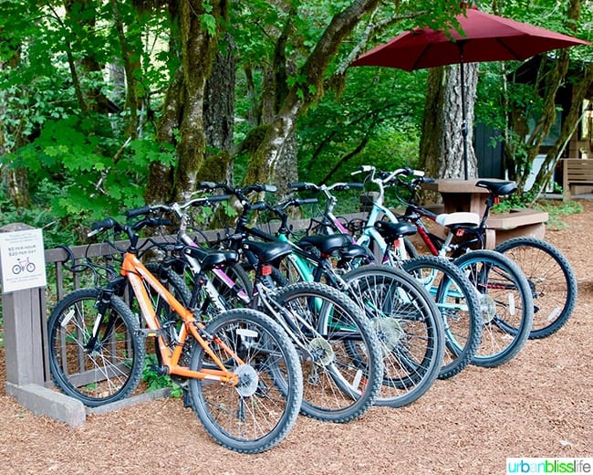 silver falls lodge bikes