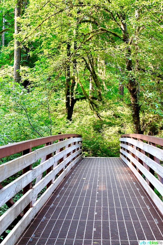 big bridge in Silver Falls State Park