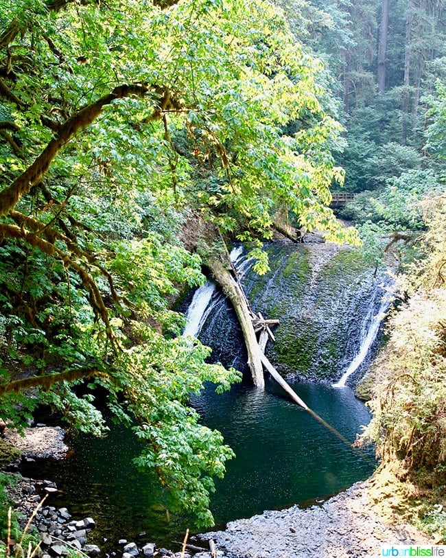 Double Falls at Silver Falls State Park Trail of Ten Falls