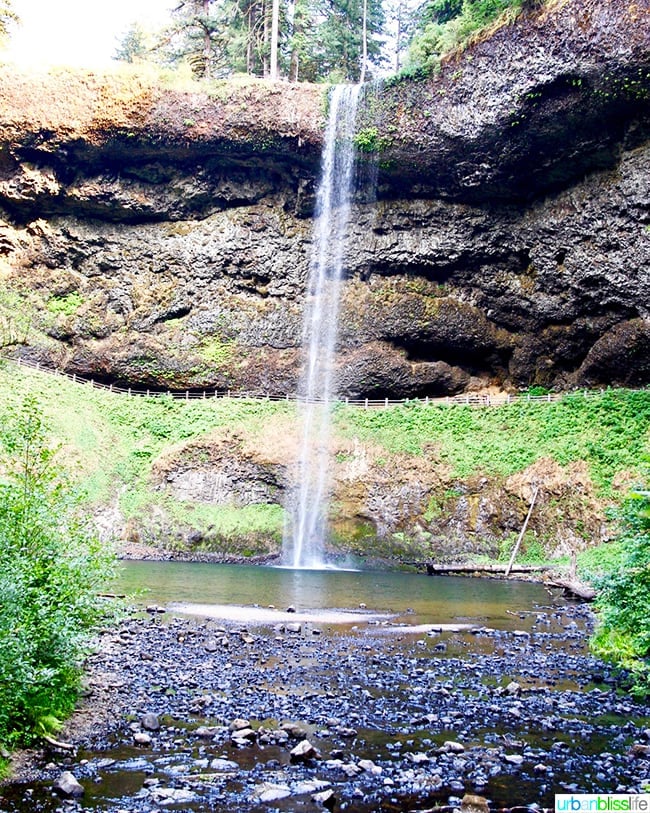 North Falls at Silver Falls State Park