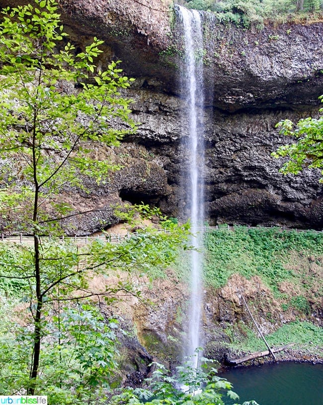 North Falls at Silver Falls State Park