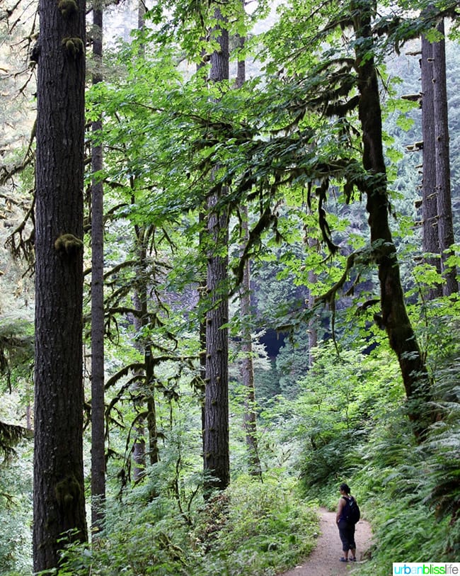 Andrea Lee hiking at Silver Falls State Park